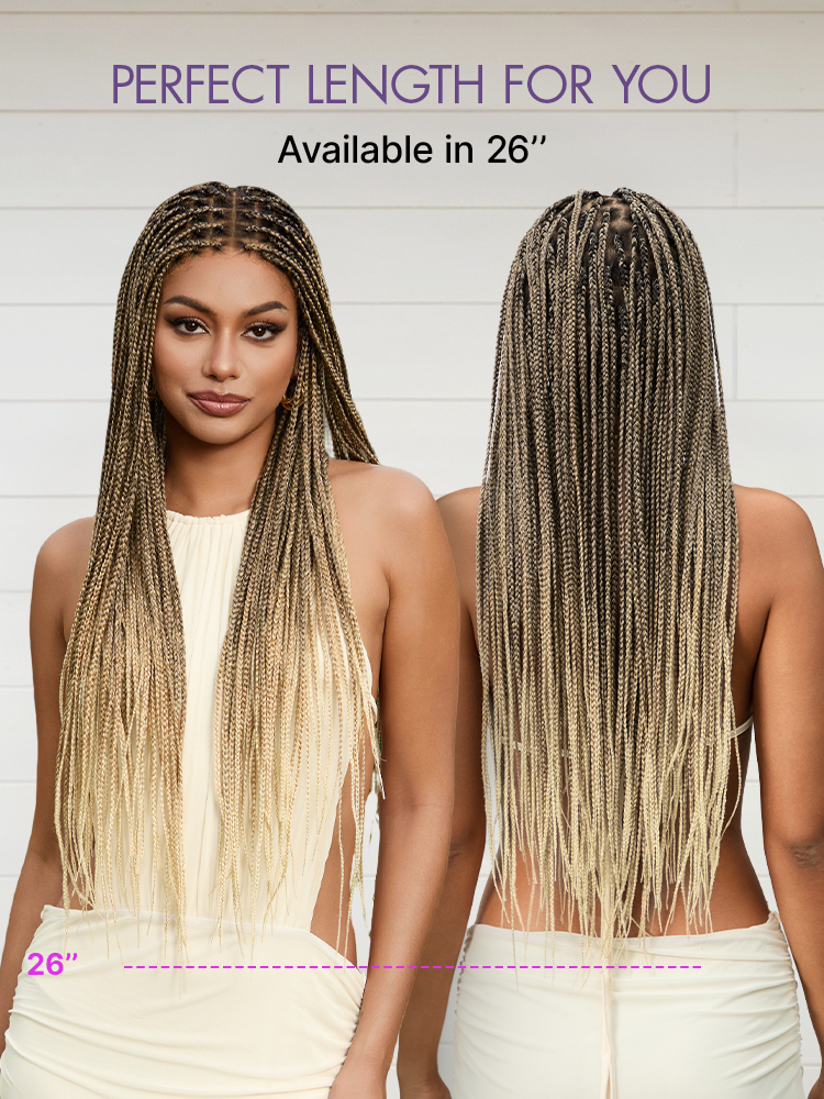 🔥Last Day: 58% Off🔥 Salon Braids HD Lace Knotless Wig ✨
